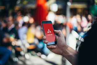 龙商金服VI信息咨询服务 打造专业品牌形象，提升企业竞争力