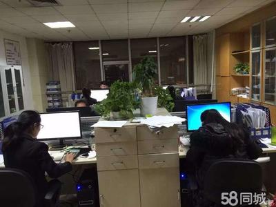 山东金证信息咨询服务 专业信息咨询的可靠伙伴