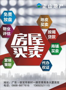 信宜玉都风情网正山房地产信息咨询公司简介