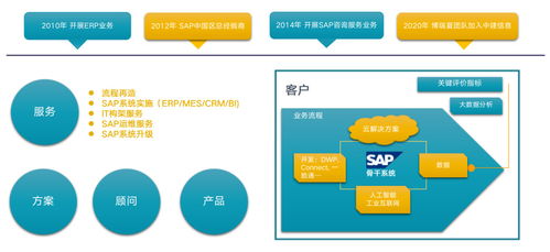 中建信息携手SAP，解码企业数字化未来 信息咨询服务的新篇章